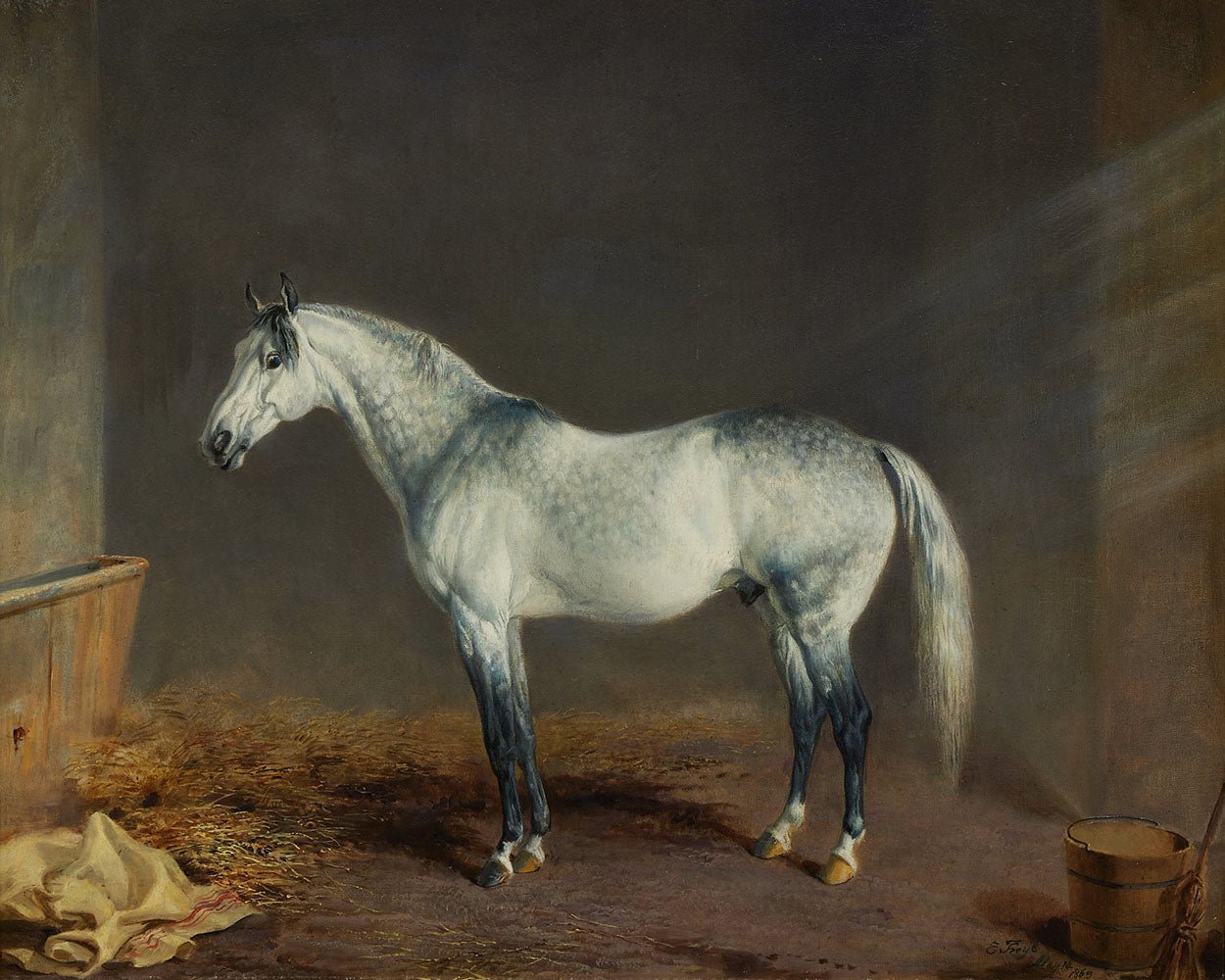 Vintage Grey Thoroughbred Portrait - HuntCountryHome