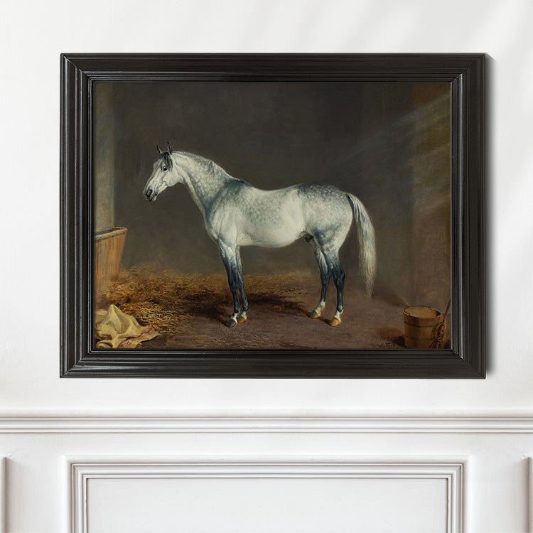Vintage Grey Thoroughbred Portrait - HuntCountryHome