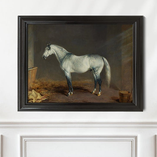 Vintage Grey Thoroughbred Portrait - HuntCountryHome