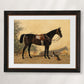 Vintage Horse Companion Portraits Print Set - HuntCountryHome