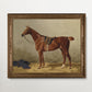 Vintage Horse Portraits Collection I - HuntCountryHome