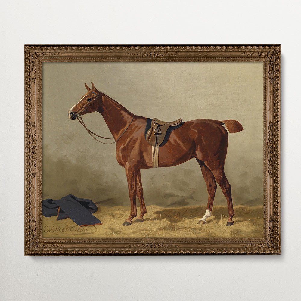 Vintage Horse Portraits Collection I - HuntCountryHome