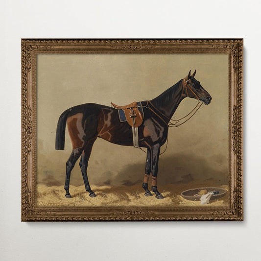 Vintage Horse Portraits Collection I - HuntCountryHome