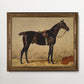 Vintage Horse Portraits Collection I - HuntCountryHome