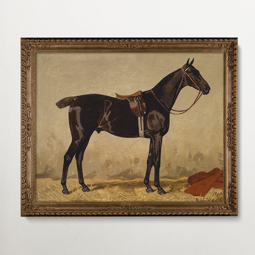 Vintage Horse Portraits Collection I - HuntCountryHome