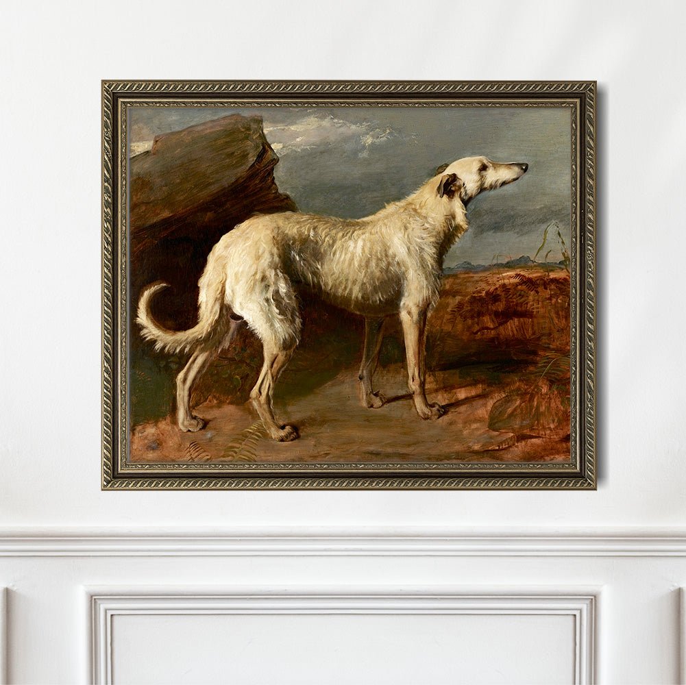 Vintage Portrait of a Scottish Deerhound - HuntCountryHome