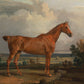 Vintage Stallion Poster #2 - HuntCountryHome
