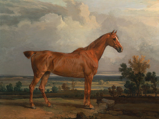 Vintage Stallion Poster #2 - HuntCountryHome