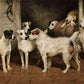 Vintage Terrier Pack - HuntCountryHome