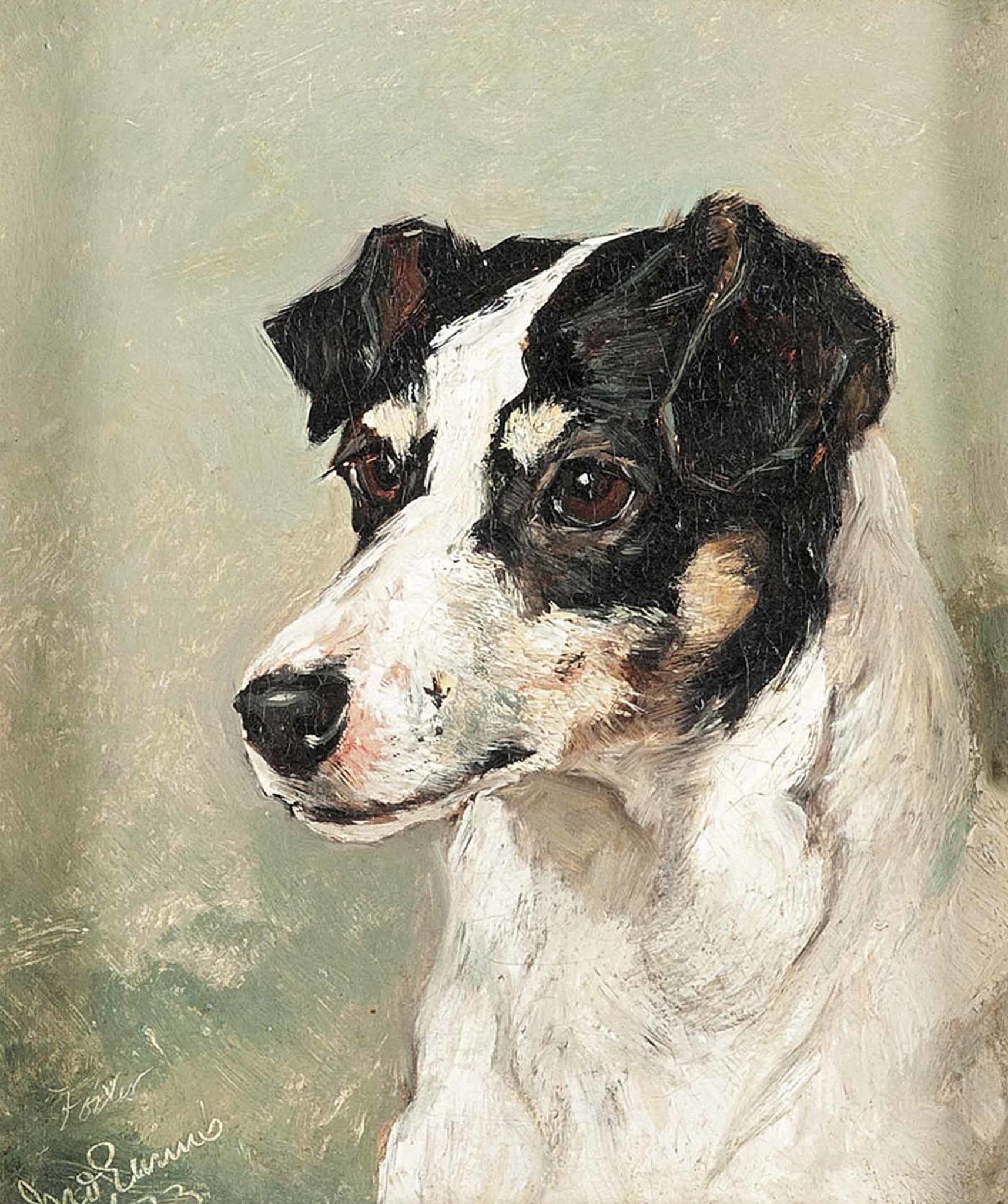 Vintage Terrier Portrait - HuntCountryHome