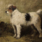 Vintage Wire Terrier - HuntCountryHome